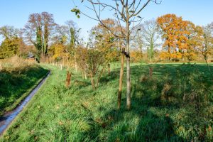 Project Twentse Erven 4